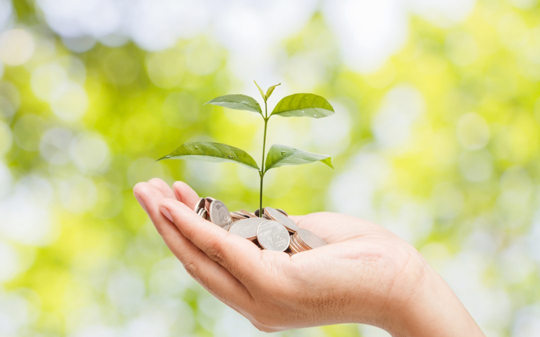 Socially responsible investing