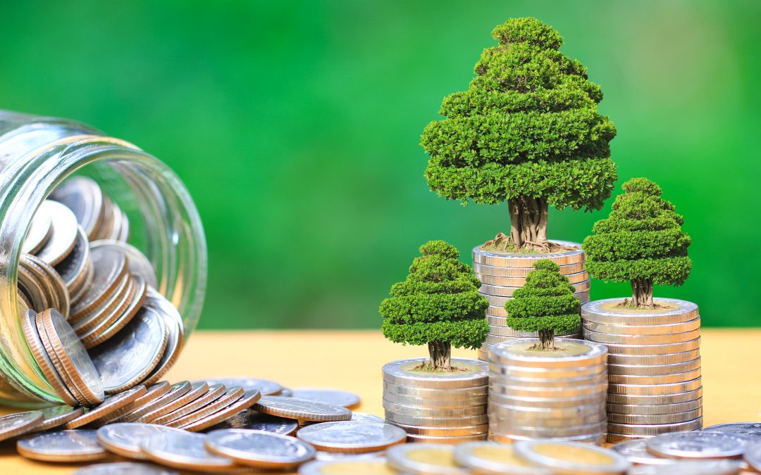 Understanding the Obstacles to Socially Responsible Investing