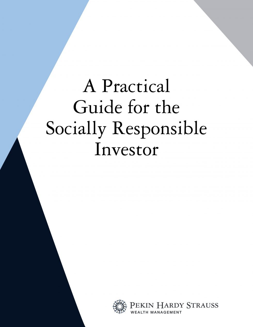 literature review on socially responsible investing