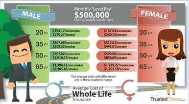 Permanent Life Insurance Graph